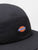 Dickies Albertville 5 panel